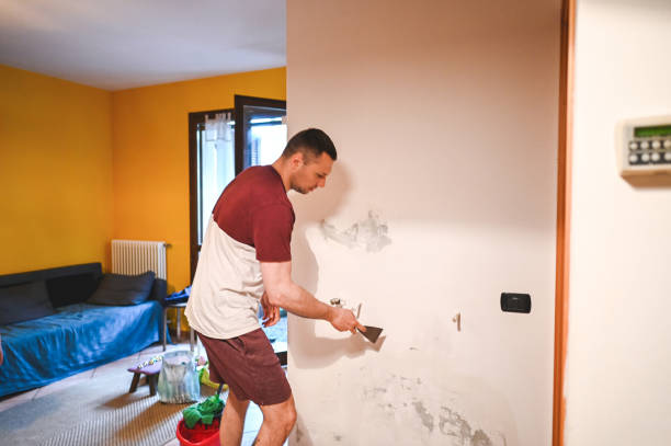 Best Mold Remediation  in South Eliot, ME